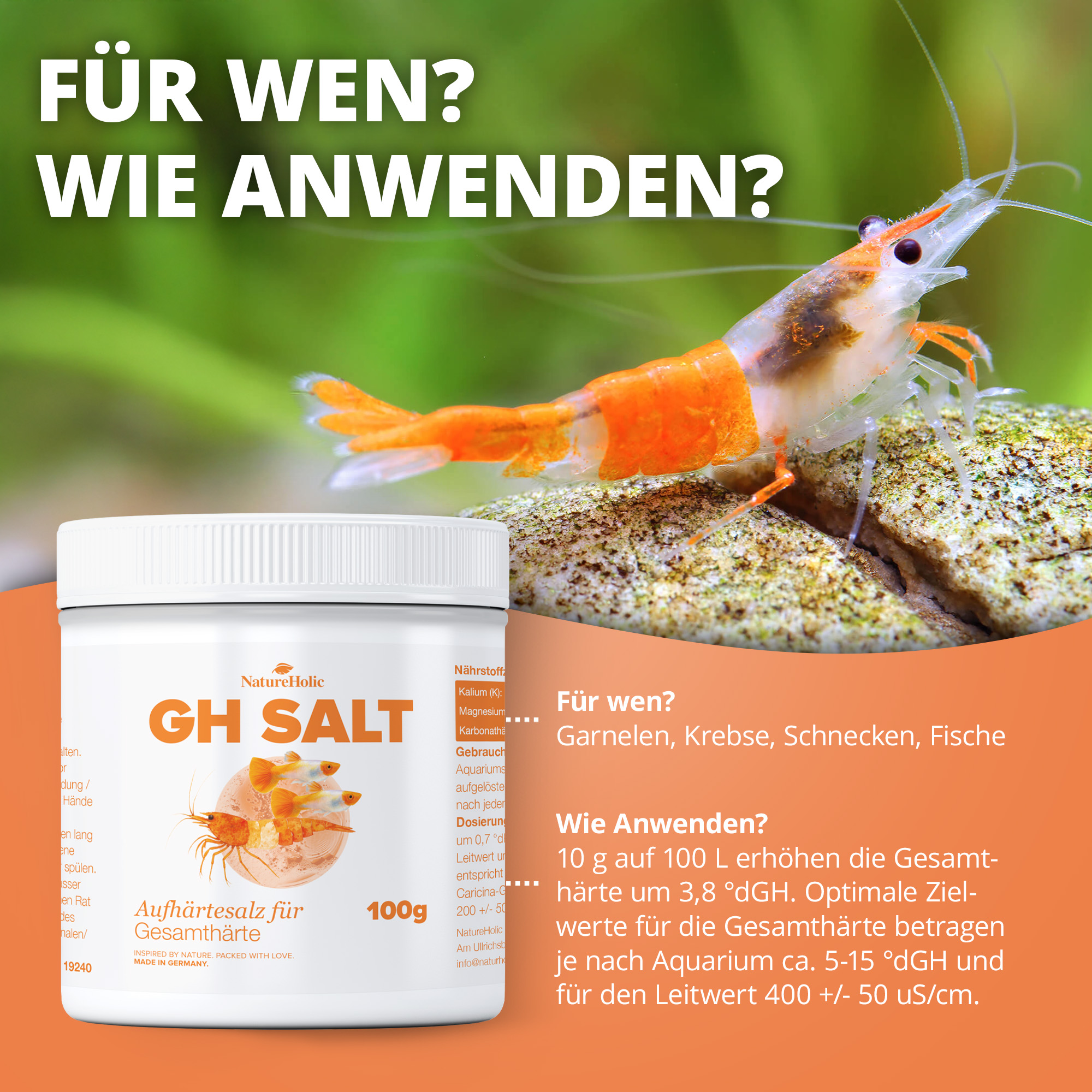 GH SALT Dose und orange Garnele auf Aquarienstein
